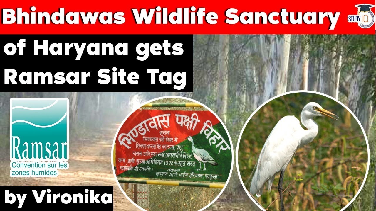 Bhindawas Wildlife Sanctuary of Haryana gets Ramsar Site Tag - Haryana Current Affairs for HPSC HAS