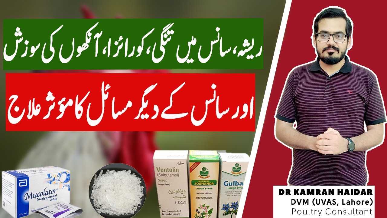Summer Respiratory Complex in Chickens & Birds | Remedies for Flu, Wheezing, Mucus & Plugs