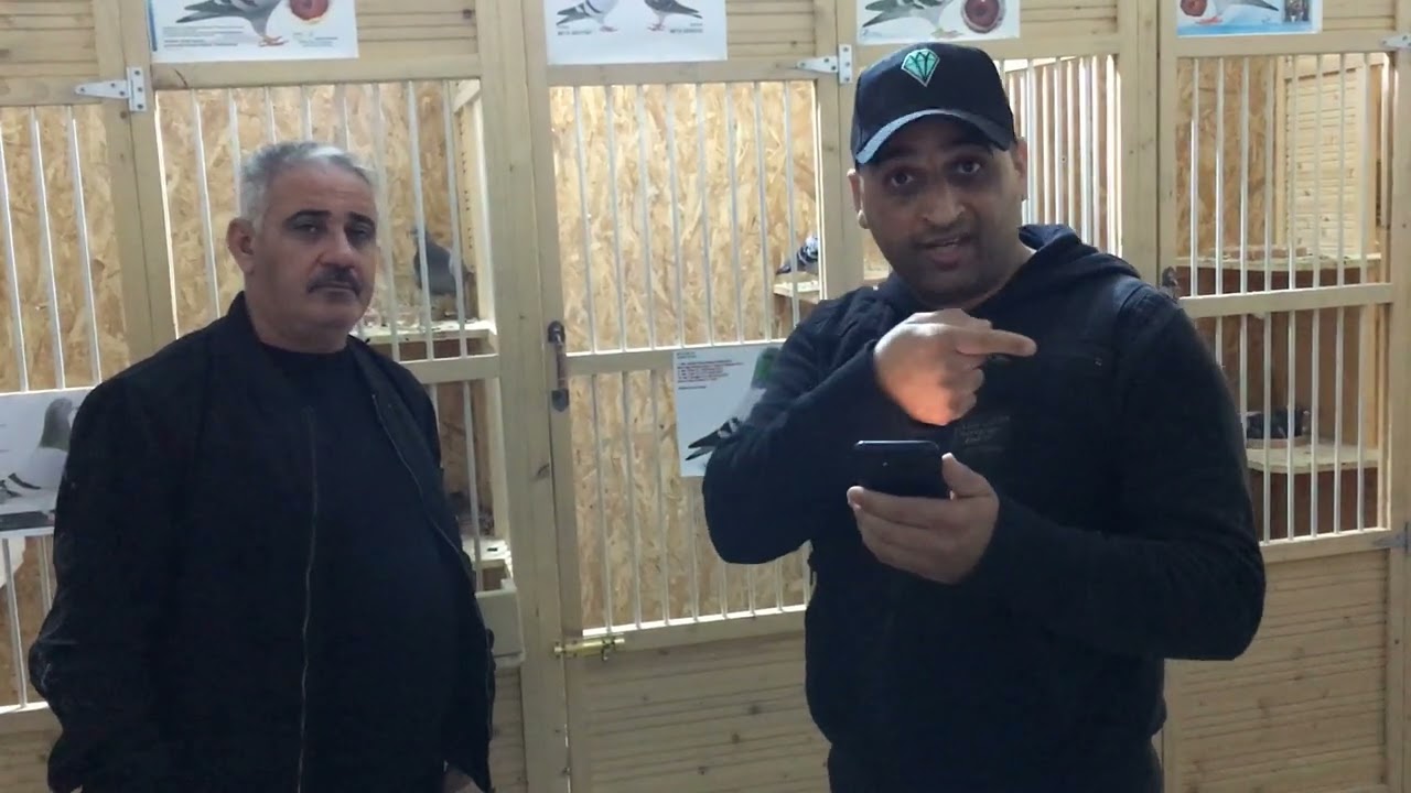 سهيل وابو مهدي تكلم عن نوعيه الحمام اشتراك نقطة بتايا