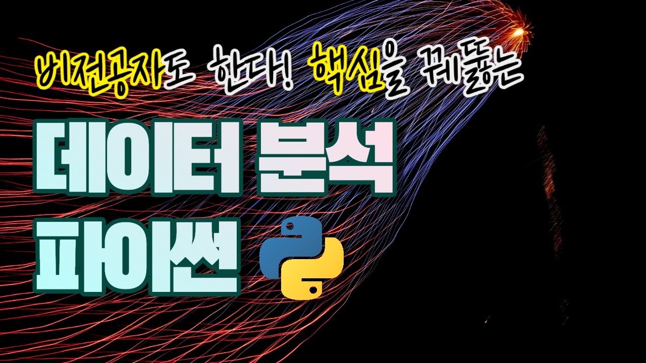 비전공자도 할 수 있는 파이썬 데이터 분석 핵심편
