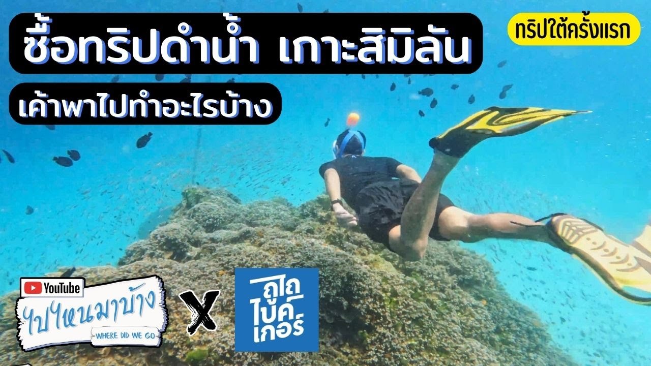 243 ซื้อทัวร์ดำน้ำเที่ยวเกาะสิมิลัน เค้าพาไปไหน ได้ทำอะไรบ้าง I ไปไหนมาบ้าง