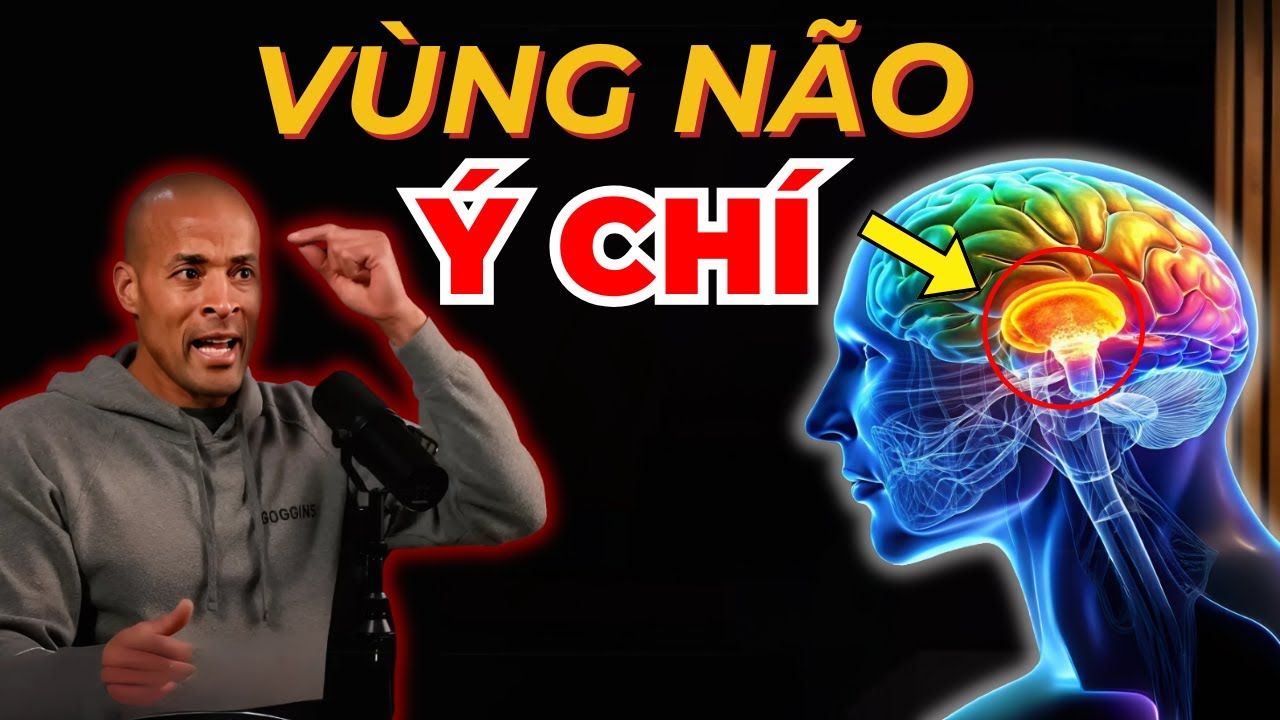 Humberman - Goggins: Cơ Chế Vận Hành Của Vùng Não Quyết Định Sức Mạnh Ý Chí Của Con Người