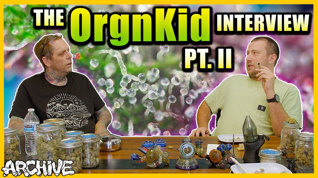 Интервью с OrgnKid, часть II: семена Cali Kush, распространение Bubba/OG S1, брендинговые штаммы