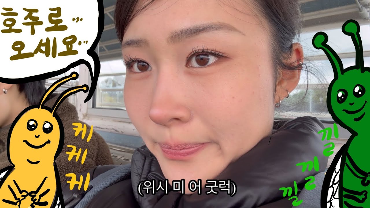 [SUB] 가출 2주차..호주, 과연 퀴어가 살기 좋은 나라일까? 🫢(feat. 신혼집, 첫 차, 🐶큰 벌레와의 조우)