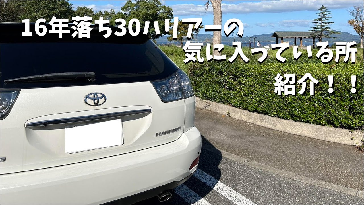 【30ハリアー】個人的にまだまだオススメ！【納車から2年】