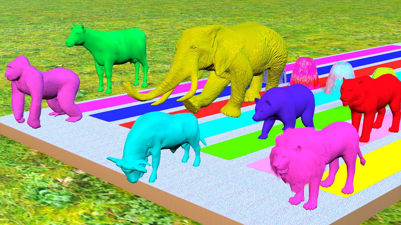 Long Slide Game With Elephant Gorilla Tiger 3d Animal Game Funny 3d Animals#15