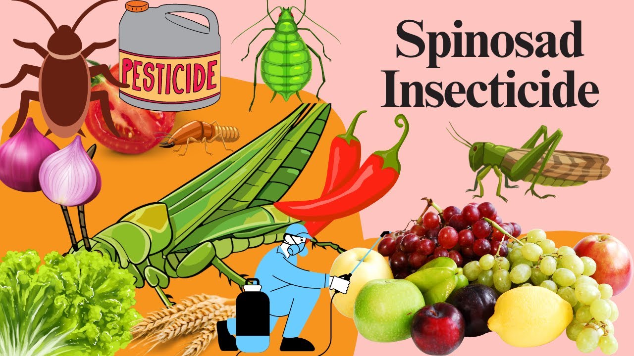 Effective Pest Control with Spinosad: Targeting Insect Pests Safely
