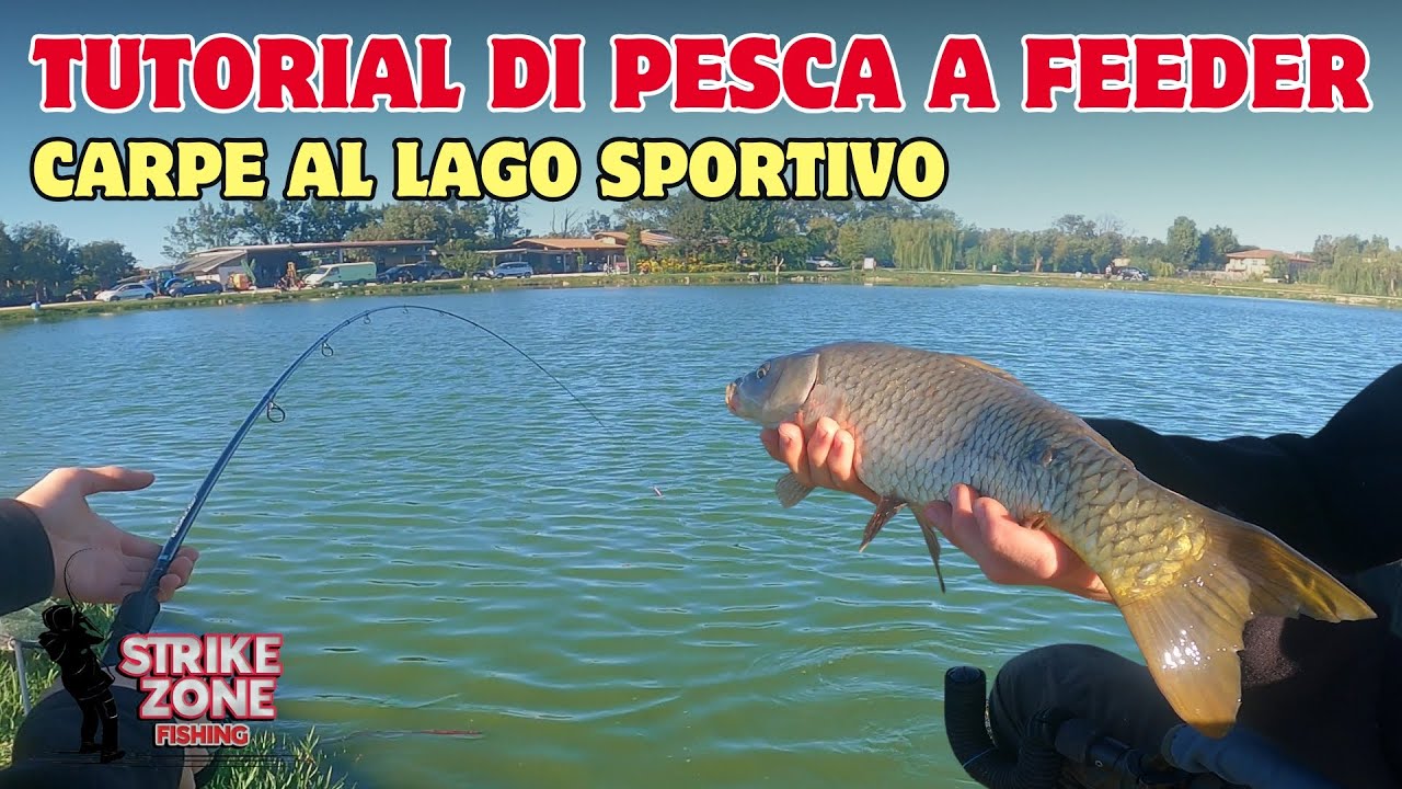 TUTORIAL di Pesca a FEEDER: CARPE al lago Sportivo! - Feeder Fishing 4K