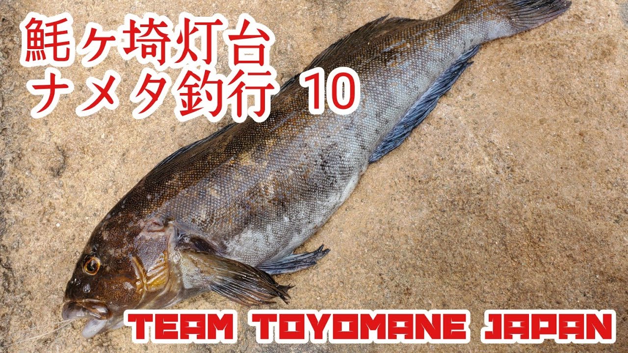 【ブッコミ釣り】魹ヶ埼灯台 ナメタ釣行 10