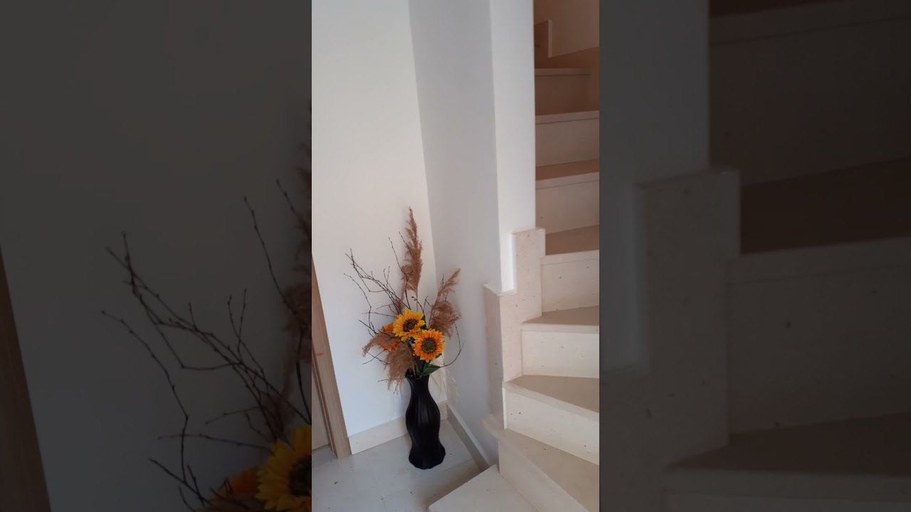 Apartman 