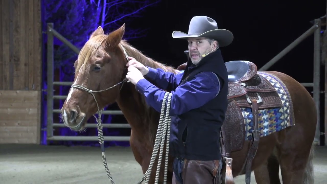 How to Halter a Horse Correctly (Most People Miss These Details)