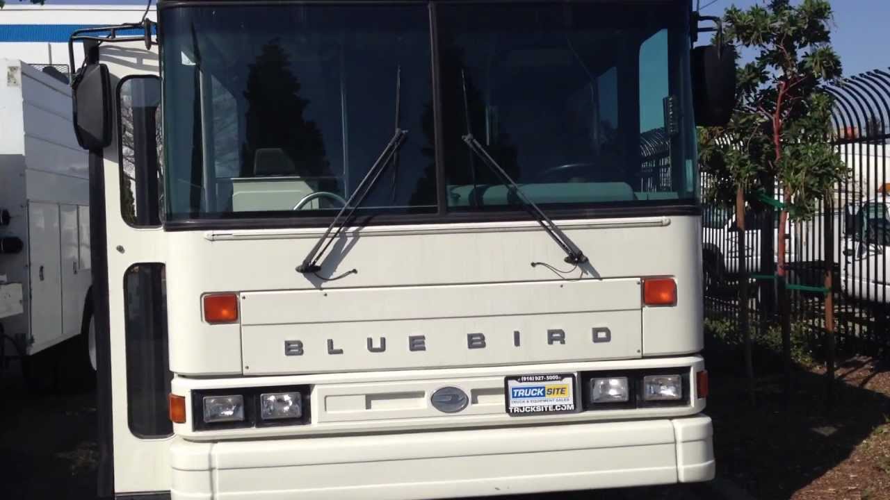 1996 Blue Bird CSRE 36 Passenger Bus for sale