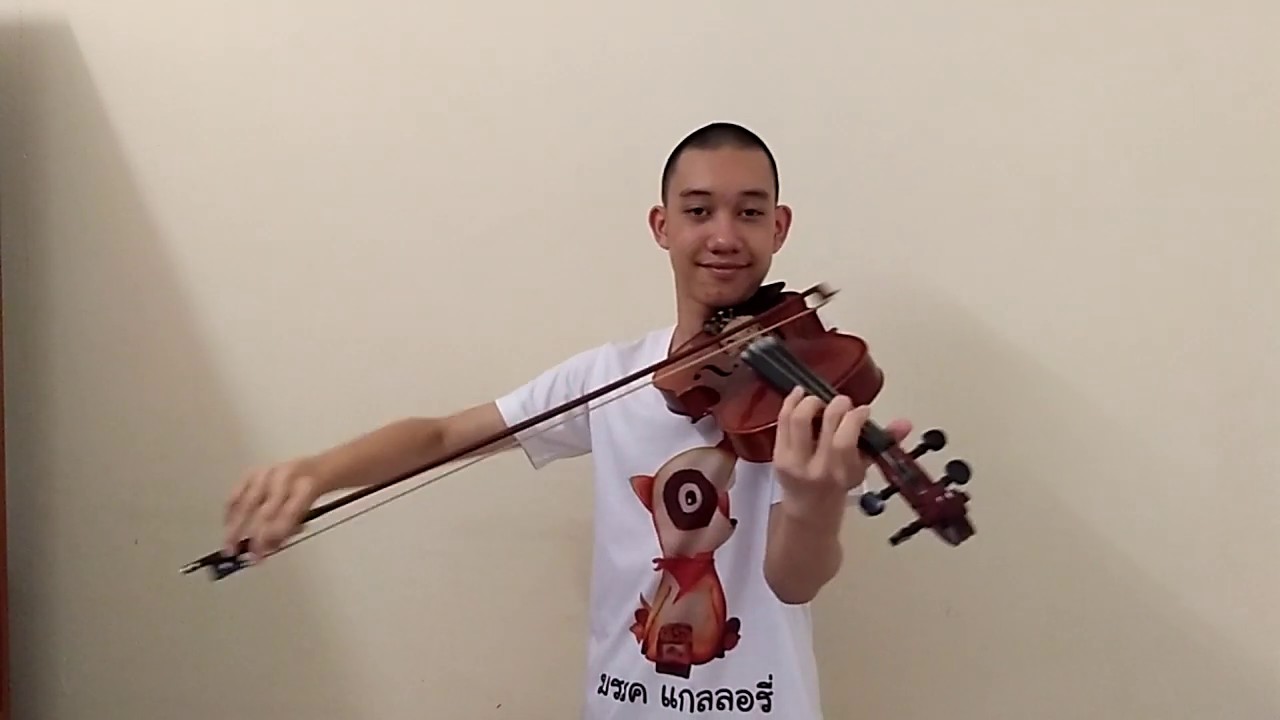 Alan Walker, K 391 & Emelie Hollow - Lily - Cover  MUK  VIOLIN