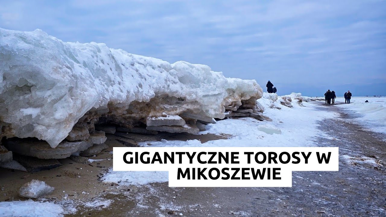 Gigantyczne torosy na plaży w Mikoszewie