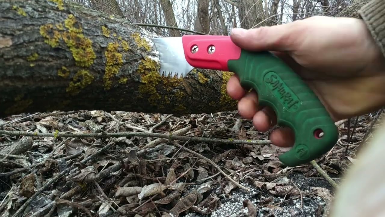 Cutting down maple trees. Saw Samurai GC-330-LH after two years of use.