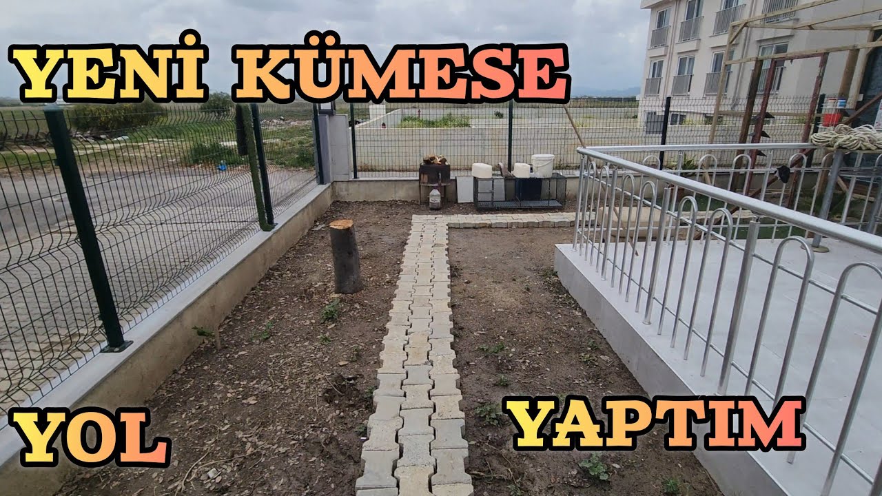 Yeni K&uuml;mese Yeni Yol Yaptım, S&uuml;priz Kuşlar Geliyor