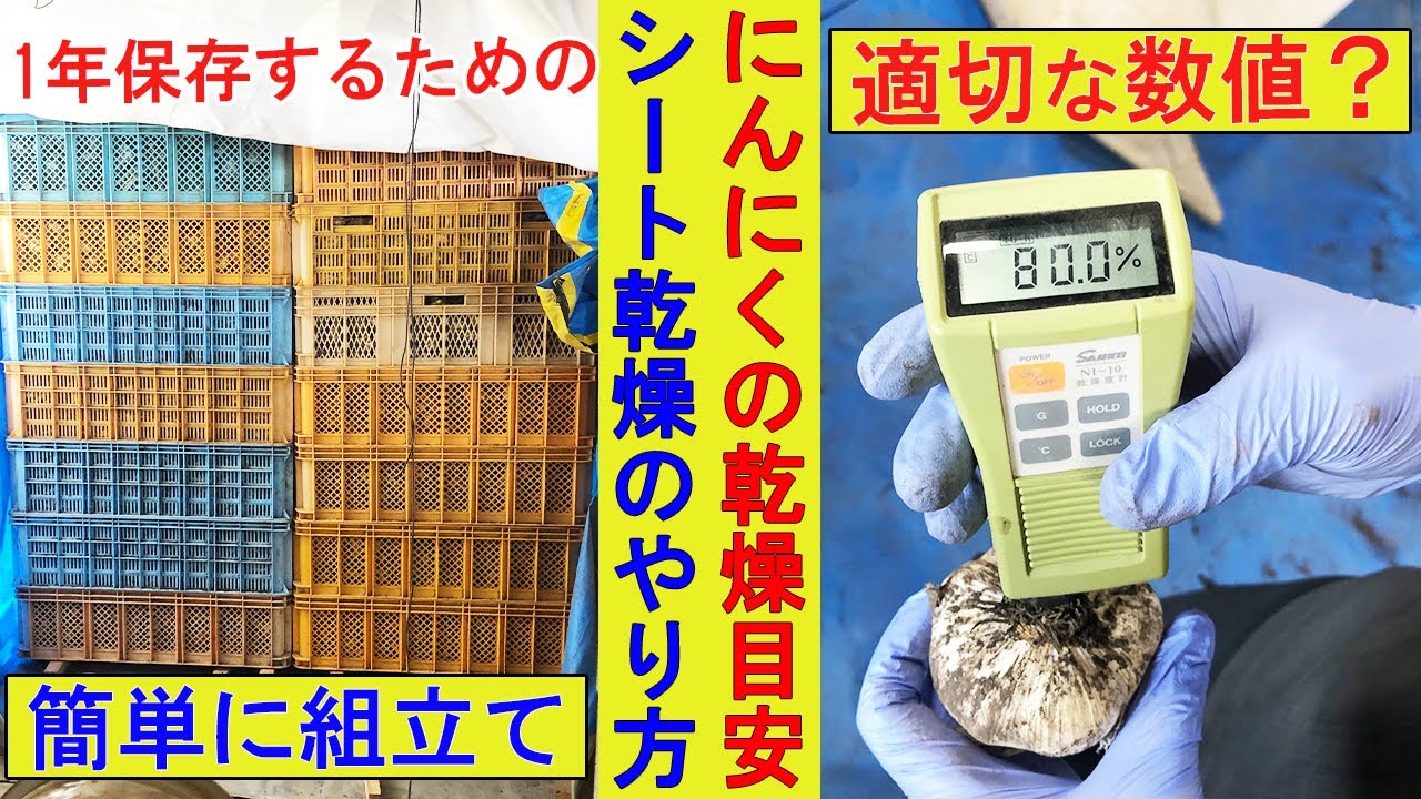 にんにくシート乾燥の方法と、どれくらい乾燥させれば良いかがわかる動画。