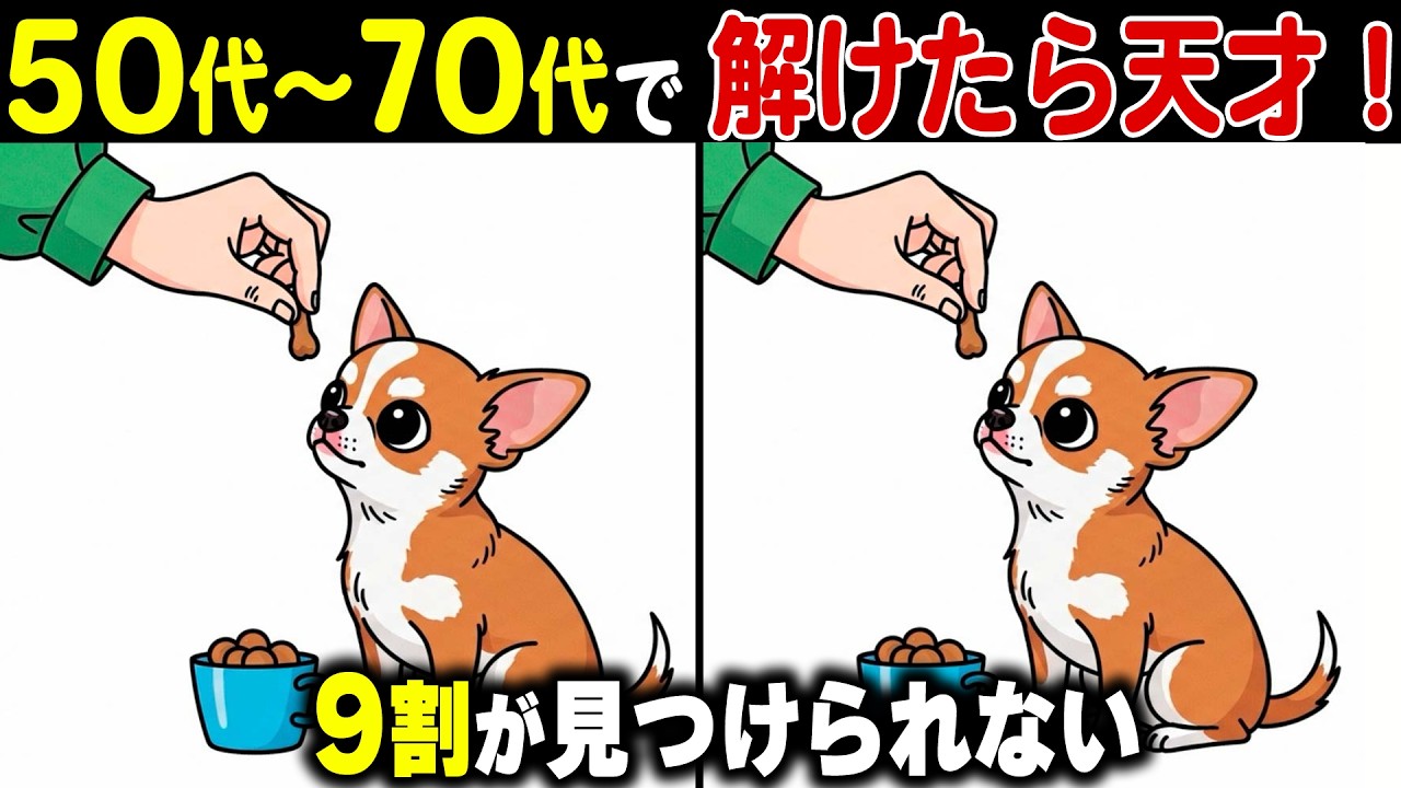 60代70代の脳を頭の体操で活性化！高齢者の9割がハマる記憶力や集中力を高めるシニアの間違い探しゲーム