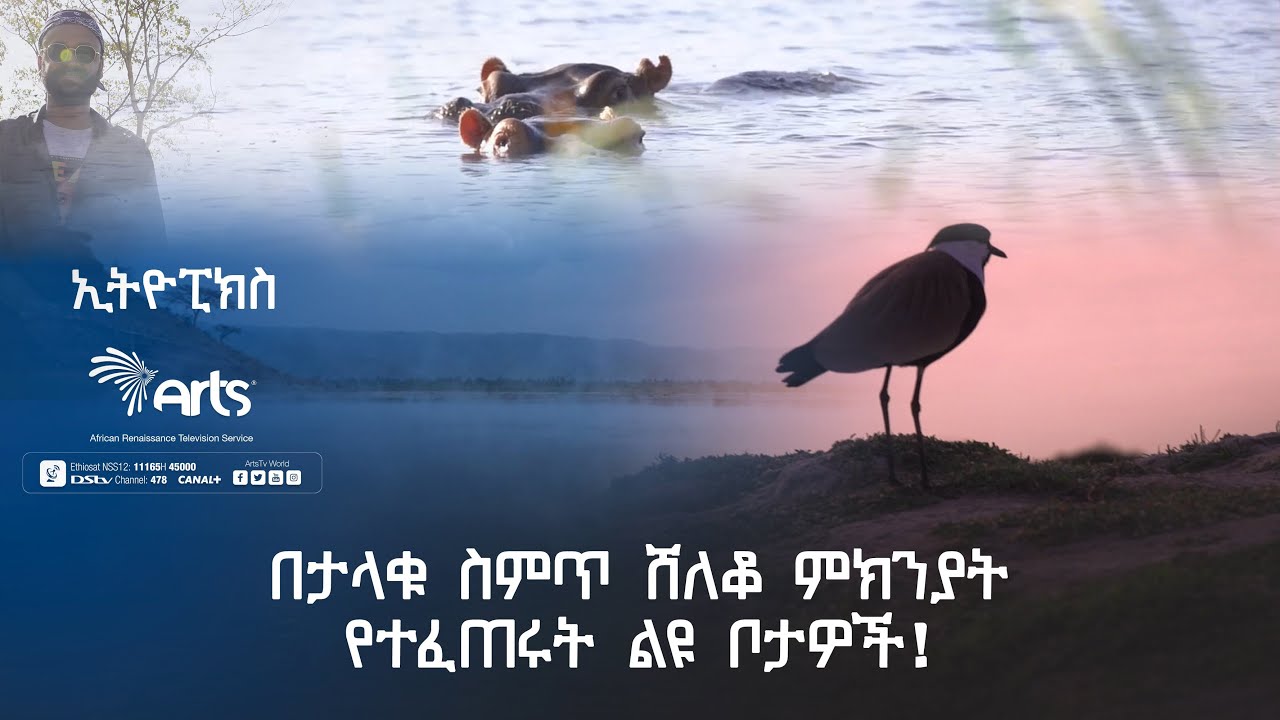 በታላቁ ስምጥ ሸለቆ ምክንያት የተፈጠሩት ልዩ ቦታዎች፤ጉማሬ እና 96°c የሚደርስ ሙቀት ያለው ፍልውሀ -ኢትዮፒክስ|Ethiopia@ArtsTvWorld