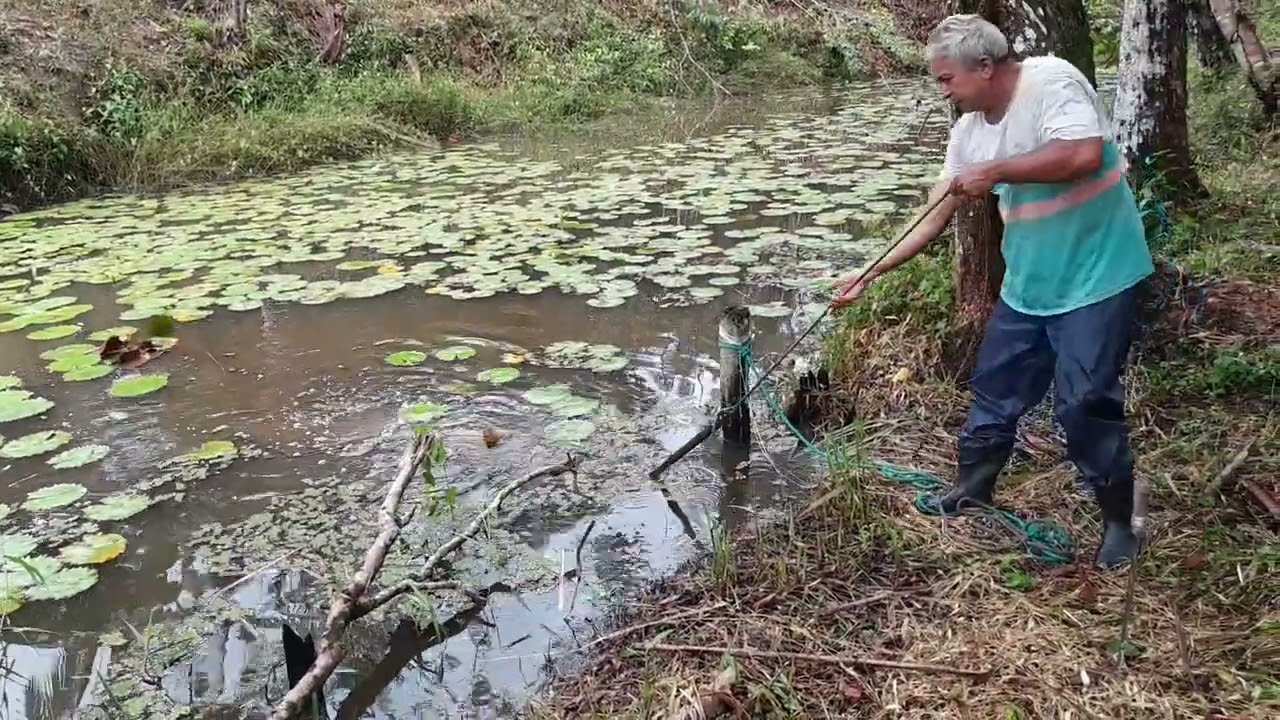 limpando lago com material caseiro