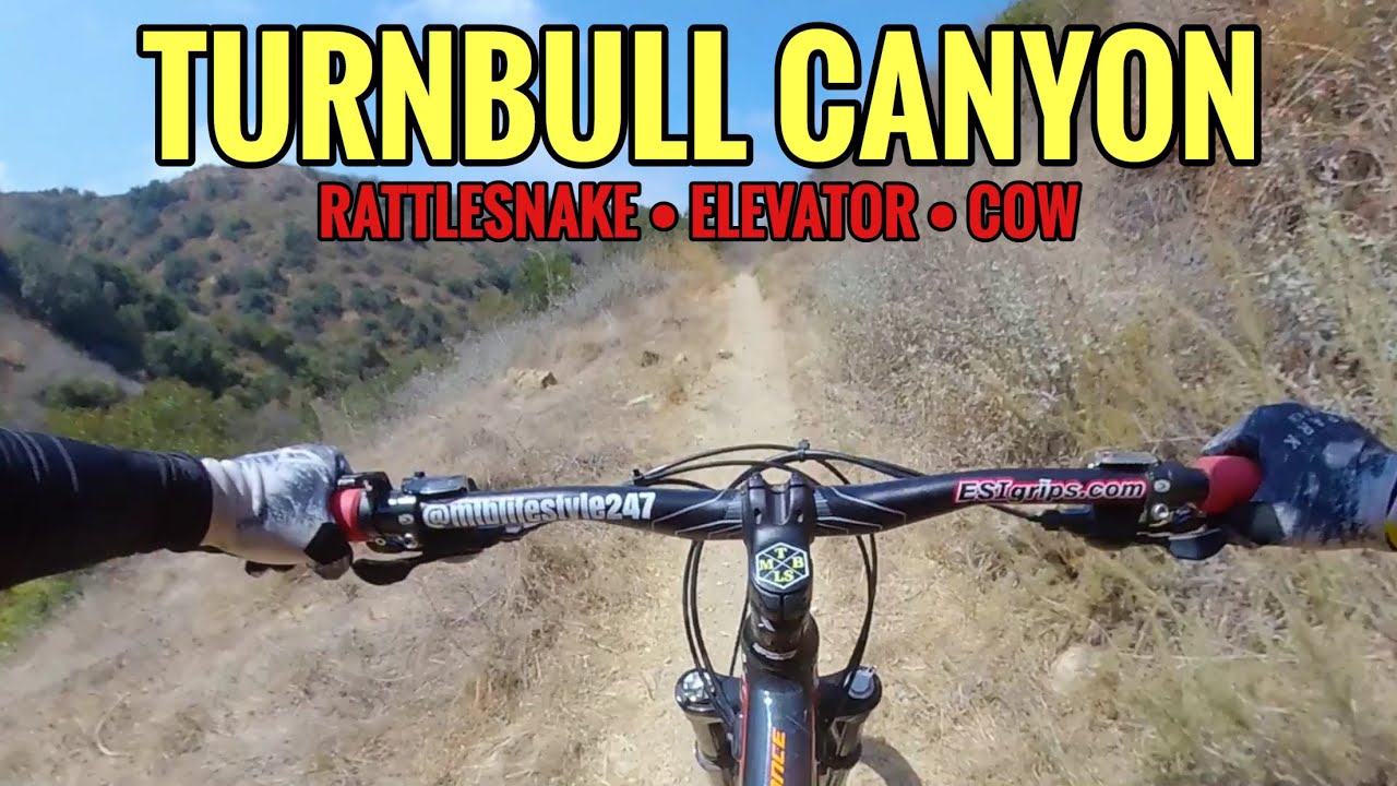 Best Single Tracks In Turnbull Canyon | Mountain Biking Southern California