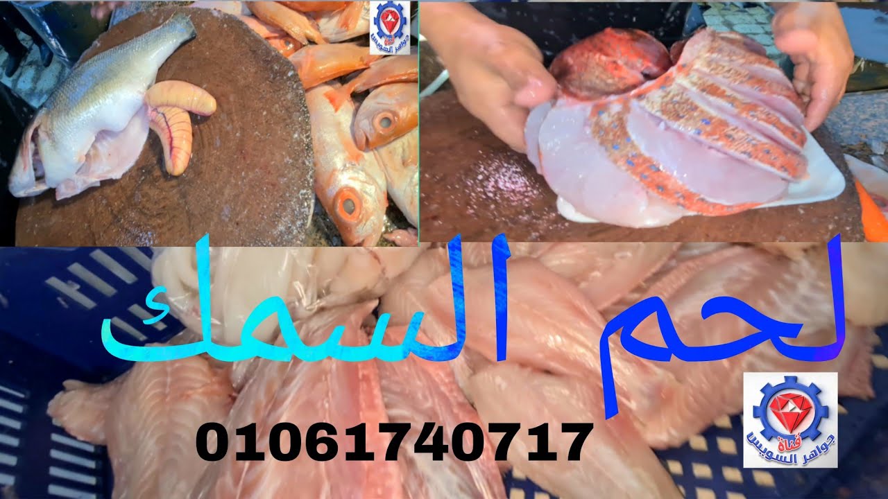 @ متشيلش هم تسوق  الأسماك سيصلك لبيتك وبجودة عالية. أشراف عبده & محمد بسوق السمك بالأنصاري بالسويس. 