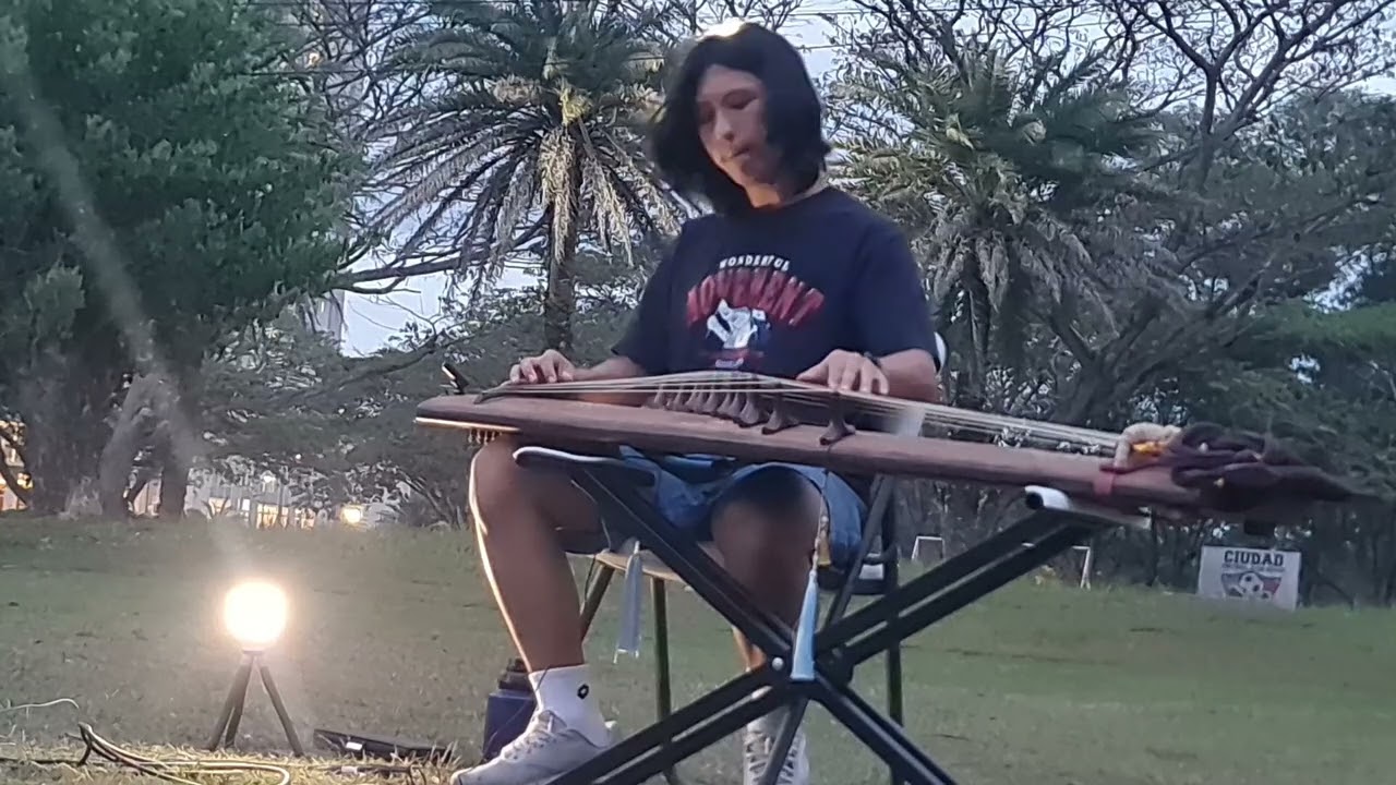 (Bruno Mars) Marry You + Arirang gayageum cover/Marry You + 아리랑 가야금 커버
