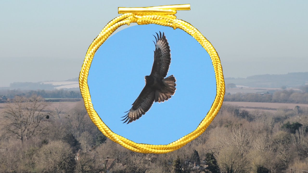Andover, Old English, the Hooper Rule and the Whitewick&rsquo;s Studio Opening