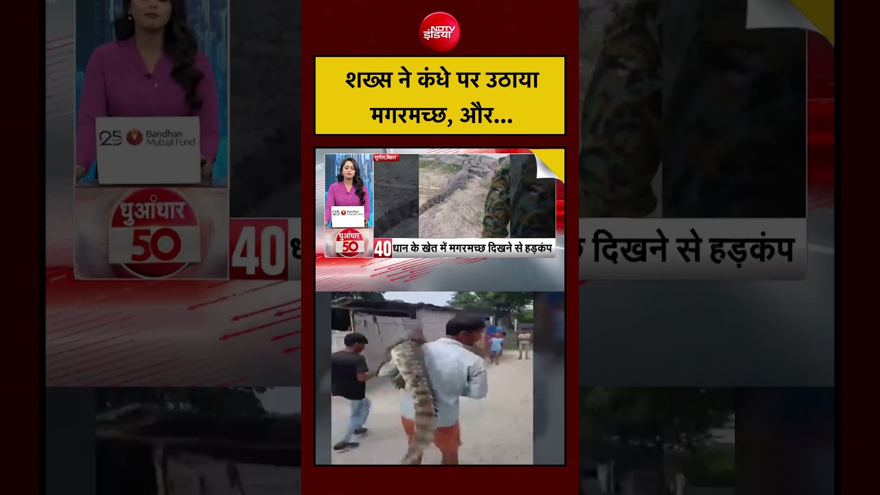 अजब गजब! शख्स ने कंधे पर उठाया मगरमच्छ, और... | Bihar News | Patna News #viral #shorts #trending