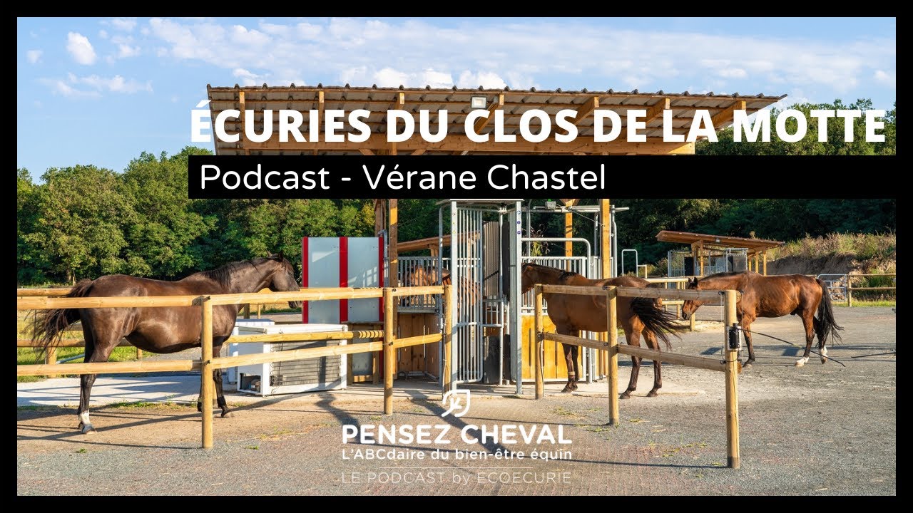 Épisode 29 - Vérane Chastel - ÉCURIES DU CLOS DE LA MOTTE