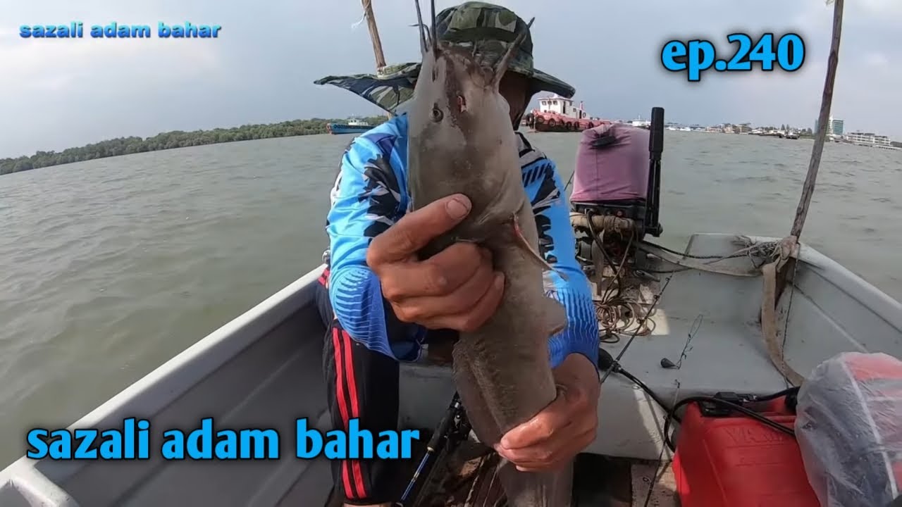 Pasang jaring dan mancing dapat sembilang besar ep.240