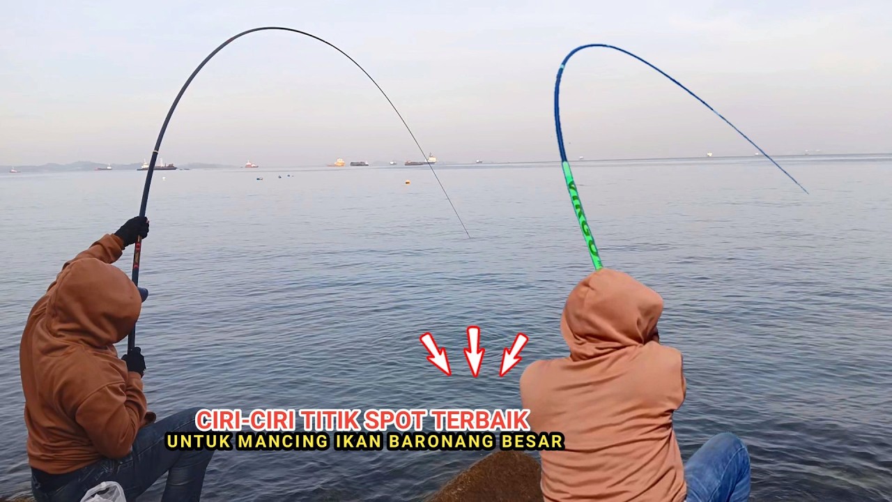 Cara Terbaik Memilih Spot Untuk Mancing Ikan Baronang Besar