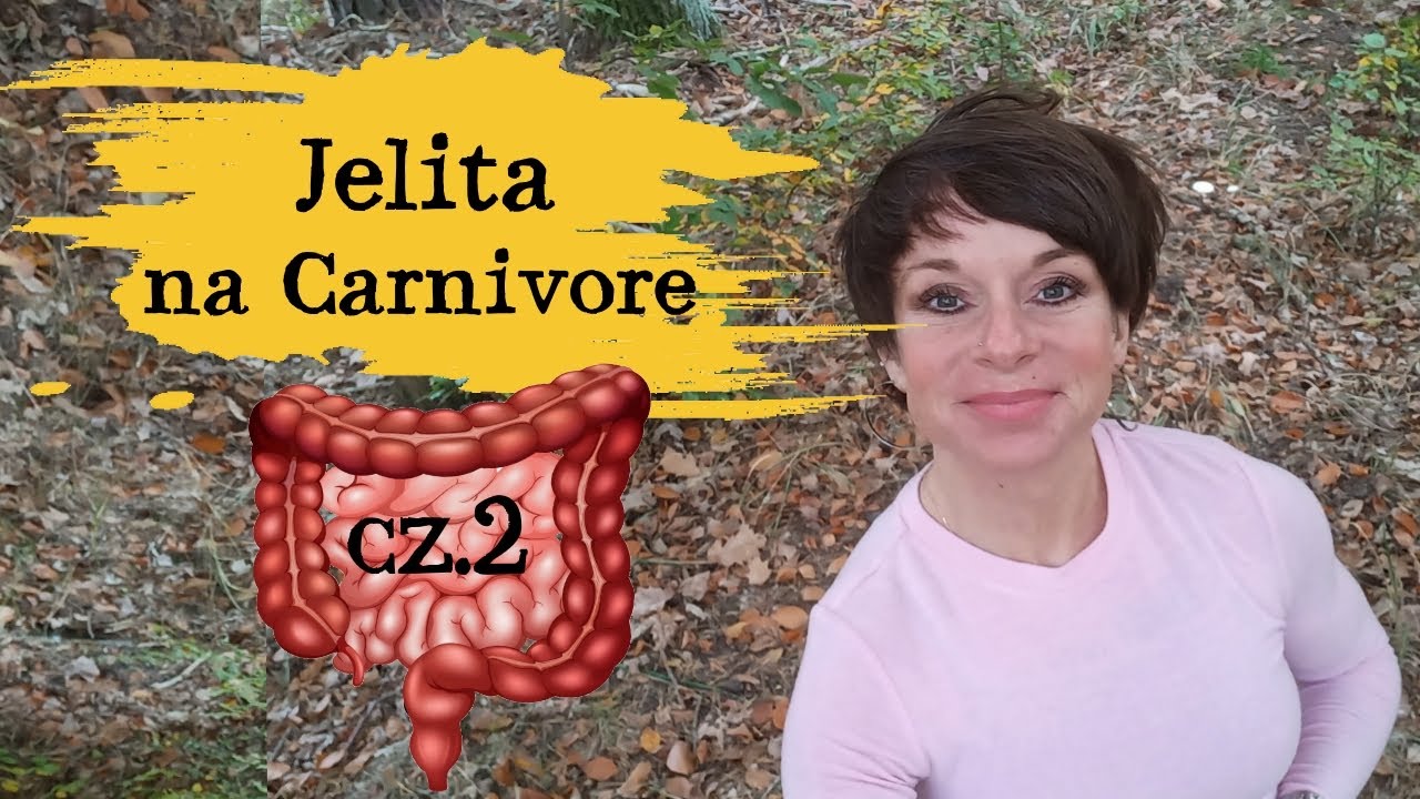 Jelita na Carnivore cz.2. SIBO. Badanie naukowe (i nie tylko)