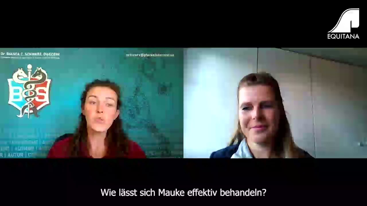 EQUITANA Sprechstunde: Hautkrankheiten beim Pferd