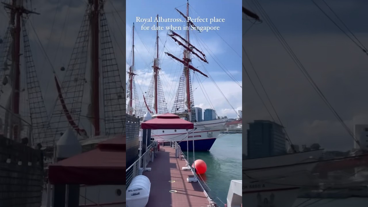 Tall Ship Royal Albatross Singapore#royalalbatross  #youtubeshort#shorts #sunsetcruise #shortvideo