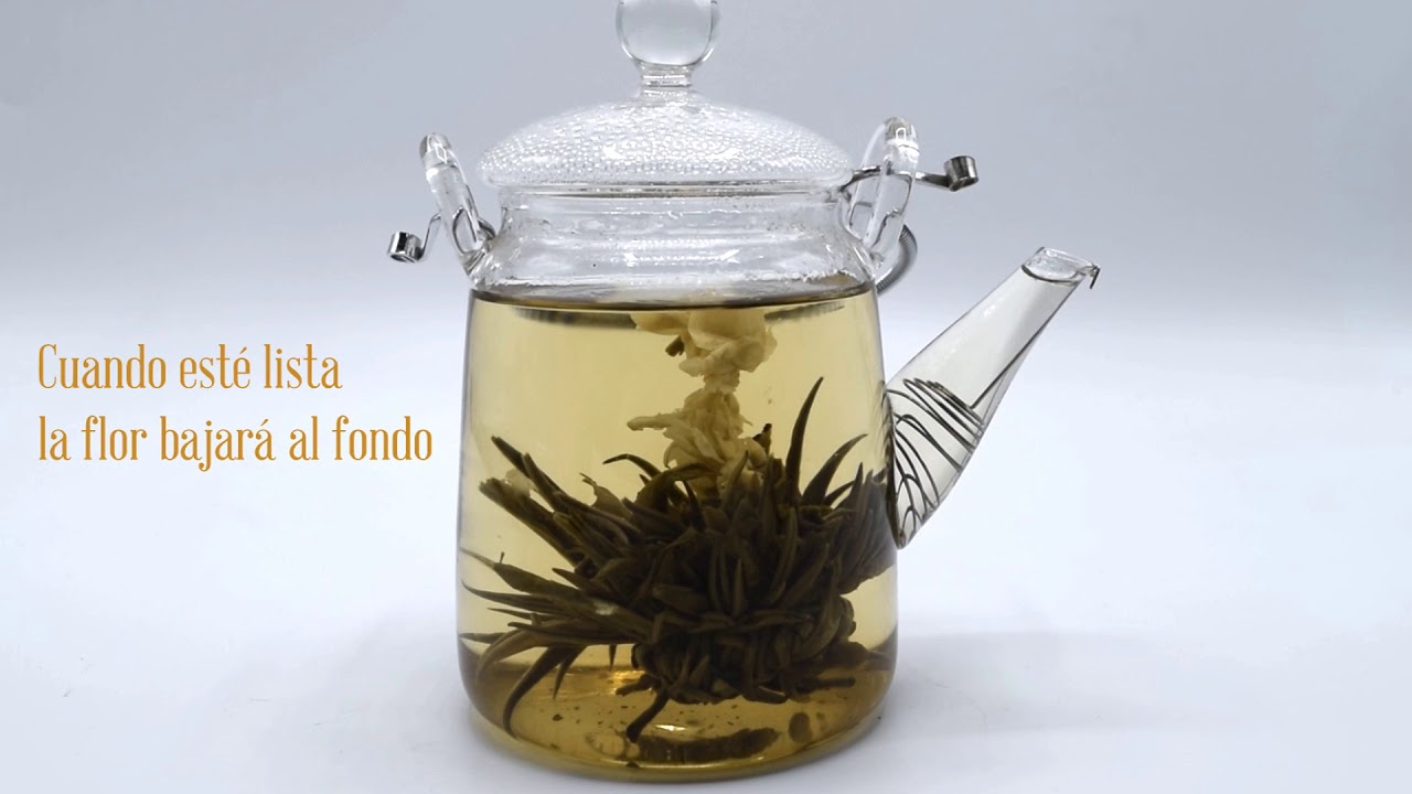 Como hacer blooming tea o t&eacute; art&iacute;stico