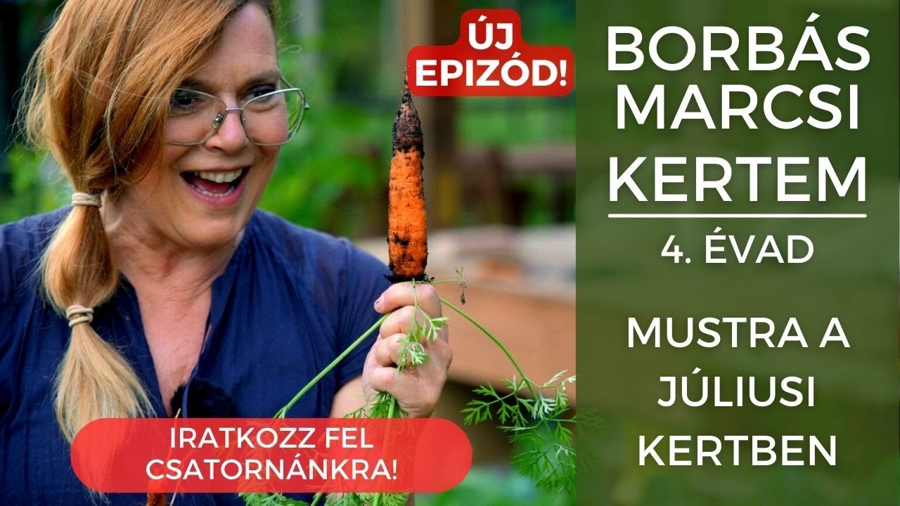 Borbás Marcsi: Kertem - Mustra a júliusi kertben