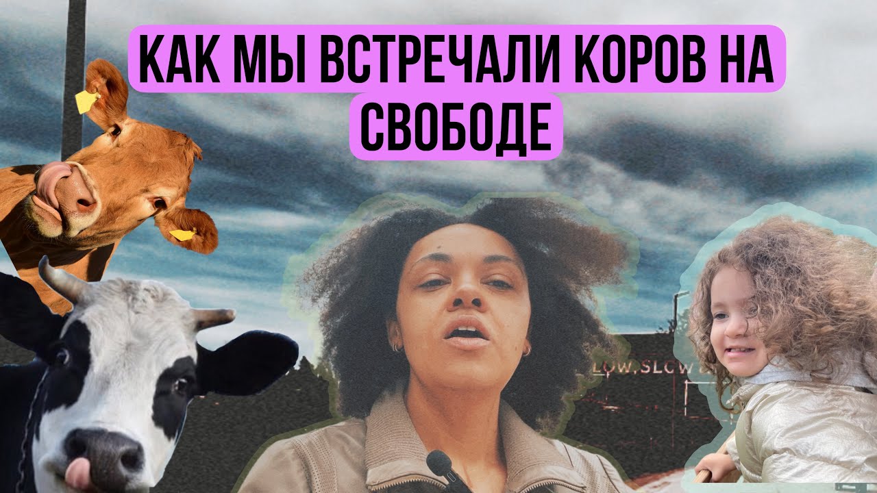 Как мы с детьми встречали коров на свободе | Влог из Финляндии