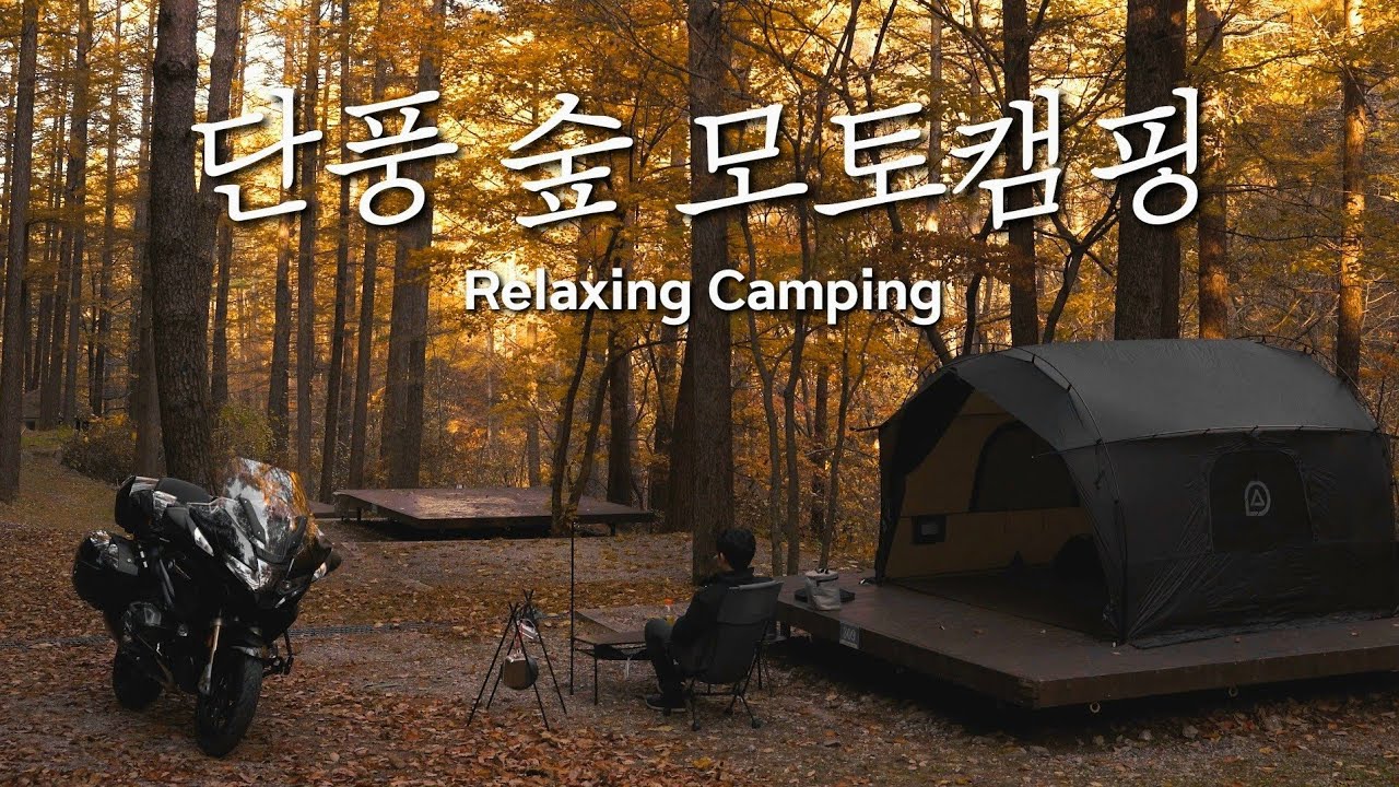 이국적인 깊은 숲속에서 모토캠핑 / 단풍캠핑 / R1250RT / John Doe 라이드 존도 / 4K화질