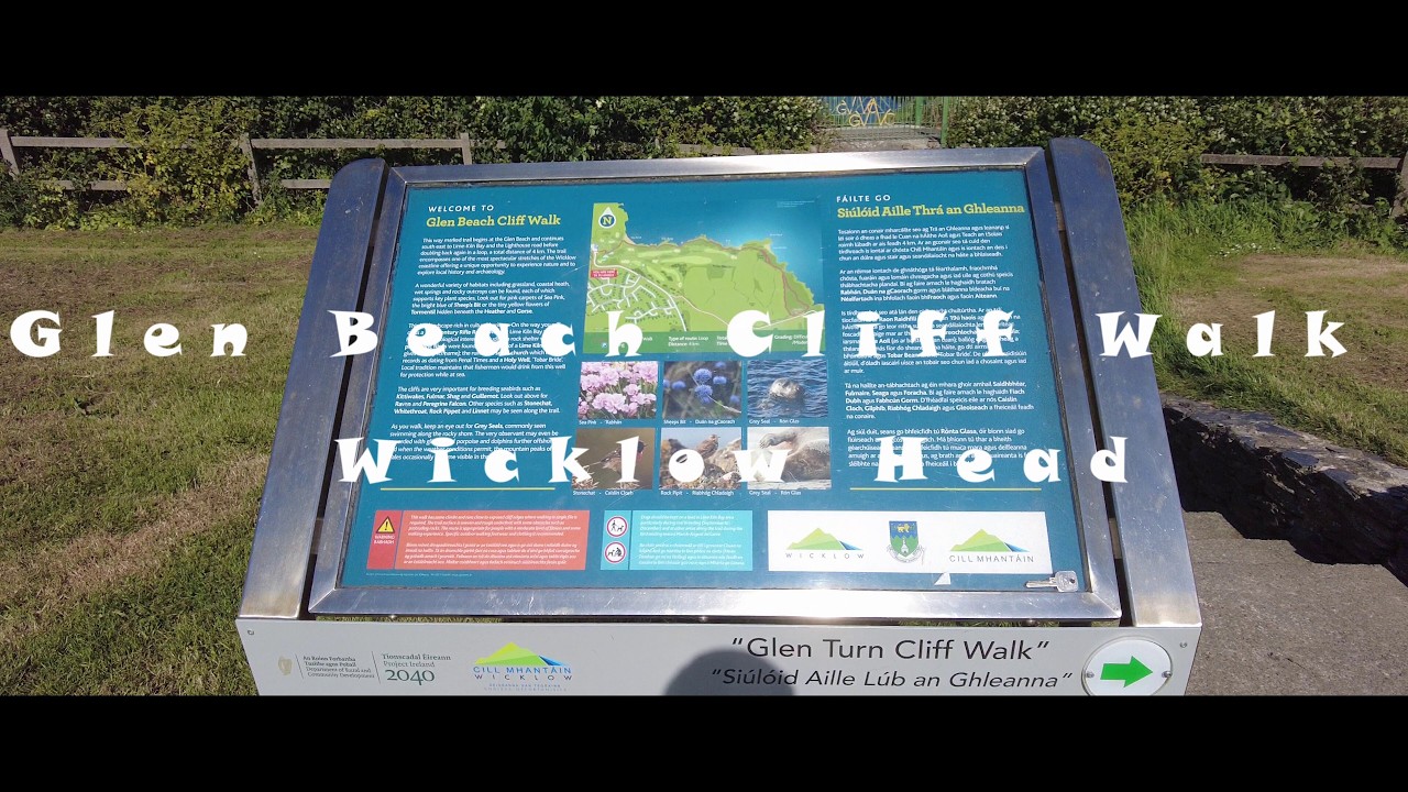 Glen beach cliff walk - Wicklow Head