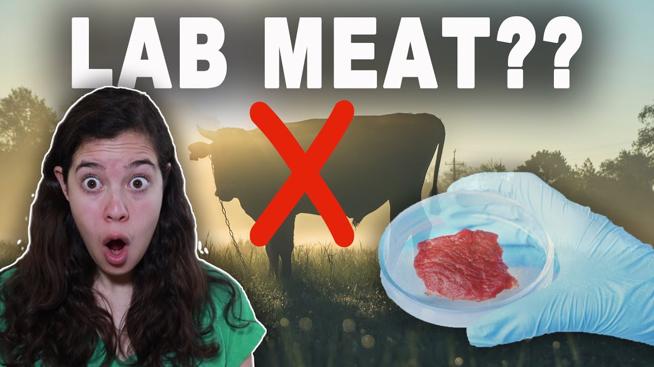 Lab-Grown Meat: A Vegan Perspective