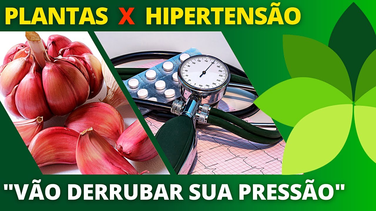 3 PLANTAS CONTRA HIPERTENS&Atilde;O (press&atilde;o alta) | Ervas e Plantas medicinais