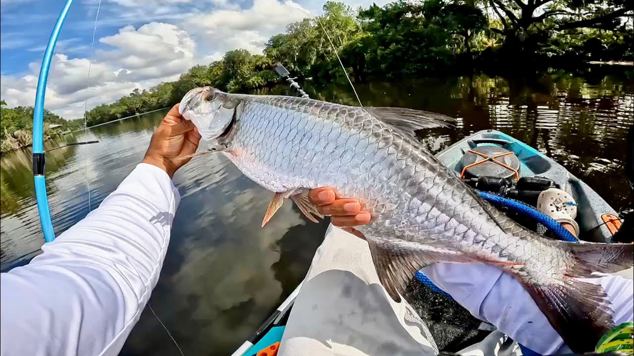 Unbelievable Tarpon Fight in Tampa Bay | Kayak Angler vs Silver Dragon