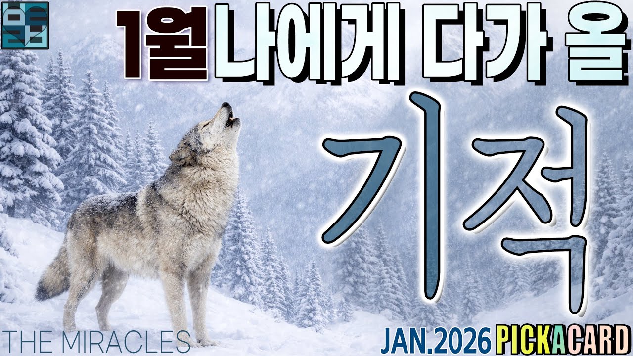 바보타로-1월 나에게 다가 올 기적-PICK A CARD(426)-JAN.2026 #타로