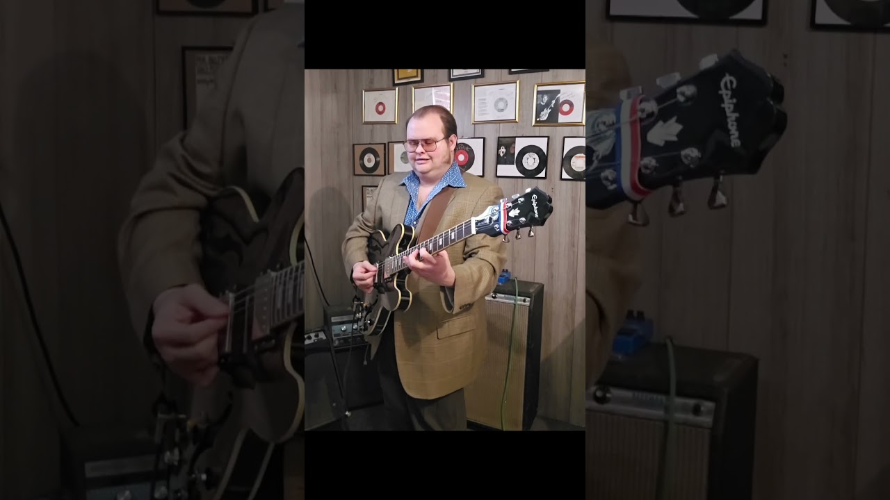 Epiphone es335 pro guitar! 