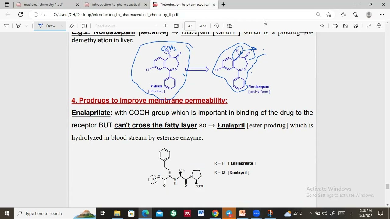 prodrug
