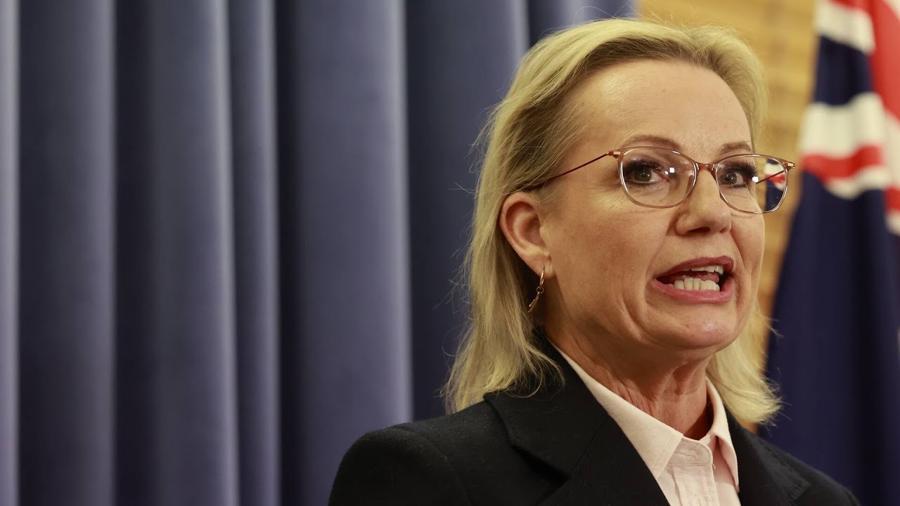 Liberal Party in a ‘world of pain’ as support wanes