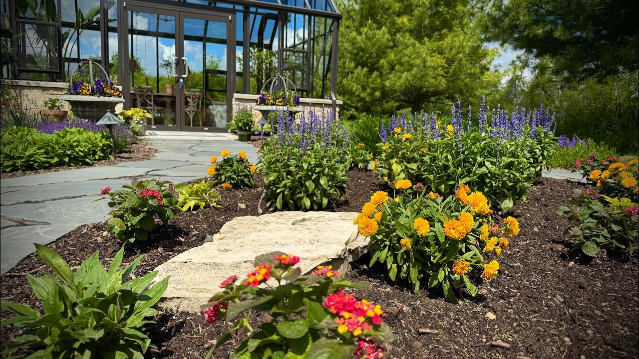 Planting up a Large Annual Bed