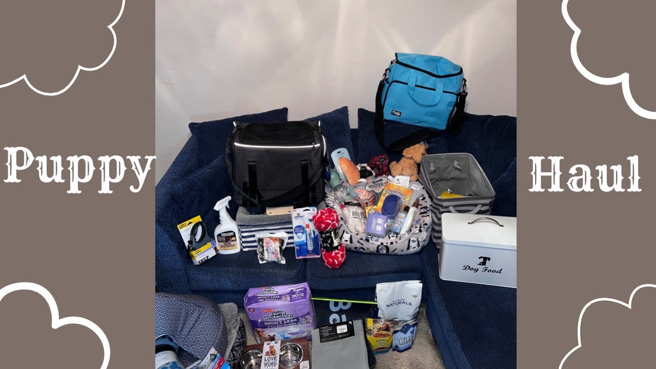 EVERYTHING I BOUGHT FOR MY YORKIE PUPPY 🐶￼🩵 HUGE PUPPY HAUL ESSENTIALS !!