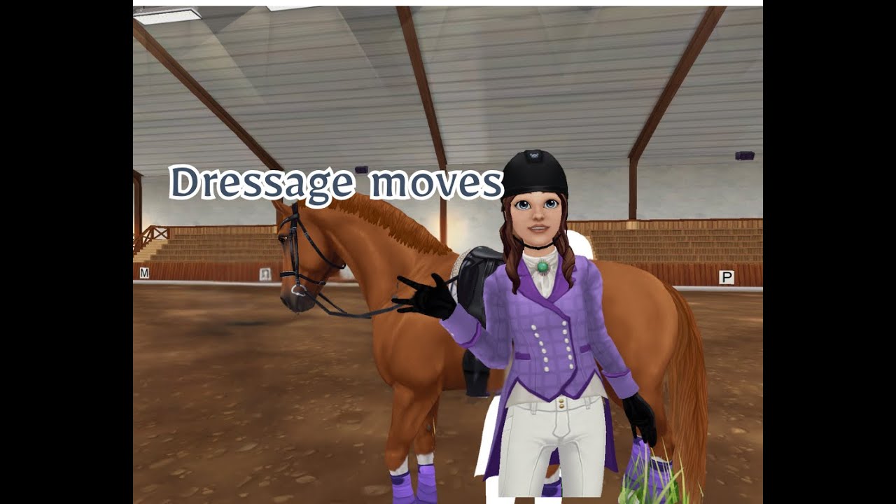 Beginner/novice dressage moves || SSO